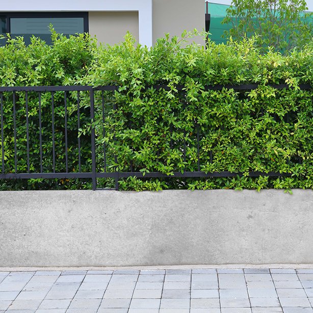 Baumit ALL IN Technologie Baumit ALL IN Technologie